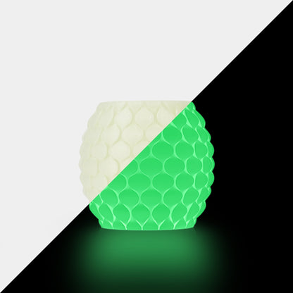 [MOQ: 3KG] PETG Glow in The Dark (Luminous) 3D Printer Filament 1KG